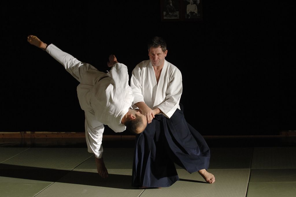 stage-aikido-yoshinkan-chaville-les-6-7-mai-2023-f-d-ration